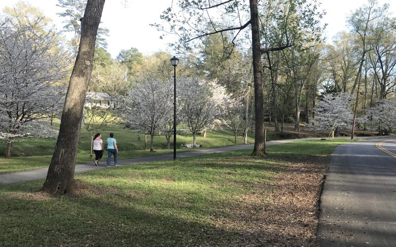 Kaitlin Andrews and Carli Andrews take a leisurely early evening stroll through the Cherry Blossom Trees on the City of Elberton’s walking trail.  The brightly lit trees, which are most brilliant this time of year, are a gift from Elberton’s Sister City Program partners from Mure Cho, Japan. (Photo by Jones)