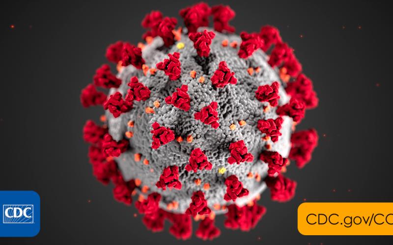 Photo from the CDC