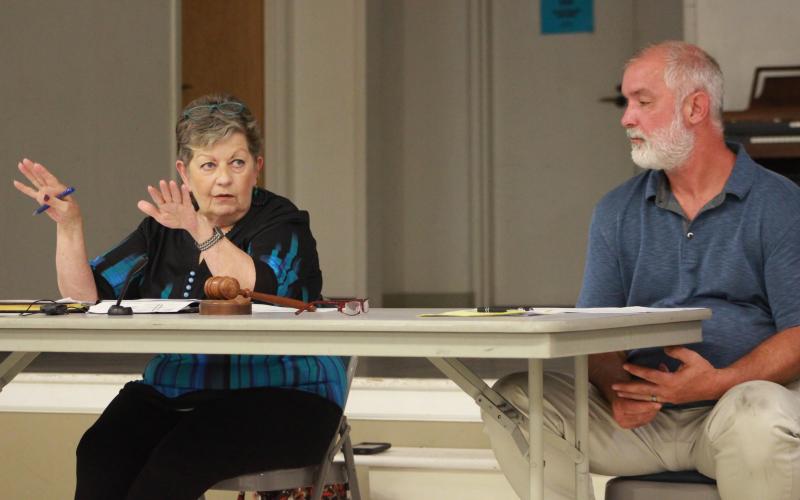 Bowman Mayor Roberta Rice, Council Member Chris Johnson discuss city business in meeting Monday night. (Photo by Scoggins)