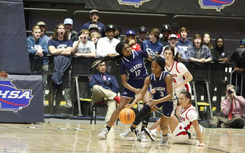 Elbert County Lady Devil fans in the background were shocked after junior guard Aaniyah Allen makes a steal and leaves a Rabun County Ladycat on the floor of the Macon Coliseum during Thurday’s state championship game. The Lady Devils defeated Region 8AA foe Rabun County 52-44 to bring home the program’s first state championship title. (Photo by Scoggins)