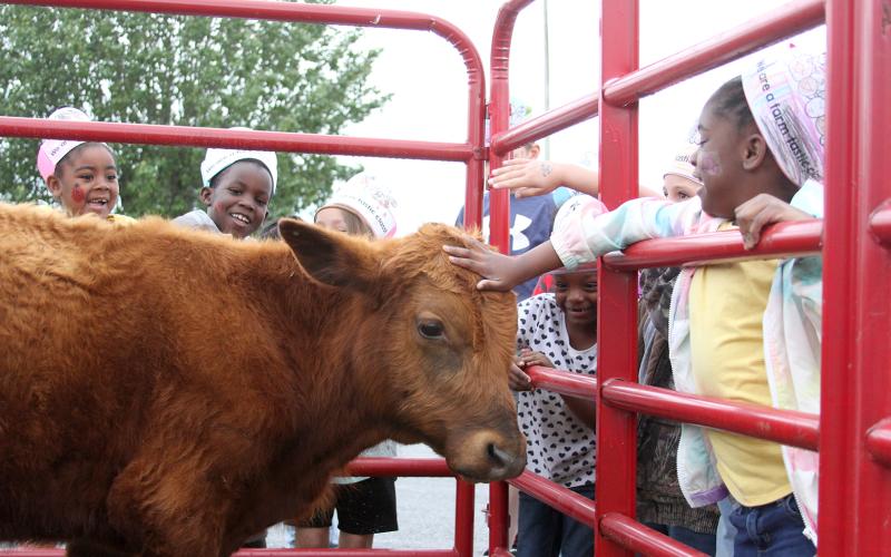 Students at Elbert County Primary School got to experience aspects of farm life during Farm Day Friday, May 5 at the school. Students were able to pet a calf, goats, rabbits and a pony, learn about bees and fresh produce, sample smoothies made from fresh fruits and vegetables, plant radishes, sit on Superintendent Jon Jarvis’ tractor and compete in an egg to chicken race. Students were also served a fully Georgia Grown lunch by the Elbert County Schools nutrition department. (Photo by Scoggins)