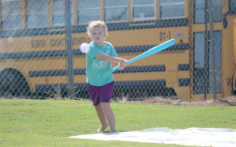 Elbert County’s Devil and Lady Devil sports teams will have a busy June as they are set to compete in summer league games and host local youth camps. The Lady Devils softball team will hold a youth camp for girls ages four through eighth grade June 19 through June 21 from 8 a.m. to noon each day. The cost is $75. (File photo by Wells)