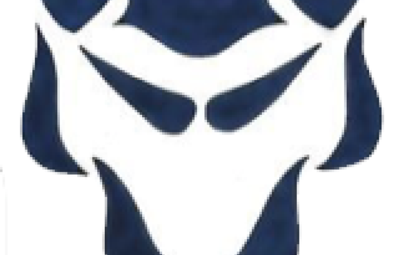 Elbert County Blue Devil