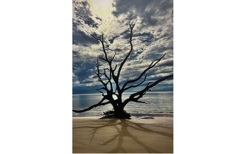 Photography By Quinn Floyd