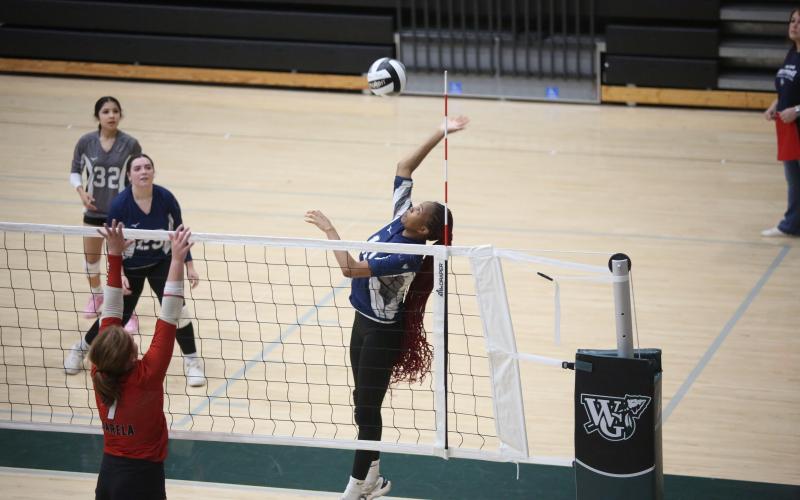 Aerial Oglesby makes a difficult jumping, leaning hit during the game against Loganville. (Photo by Wells)