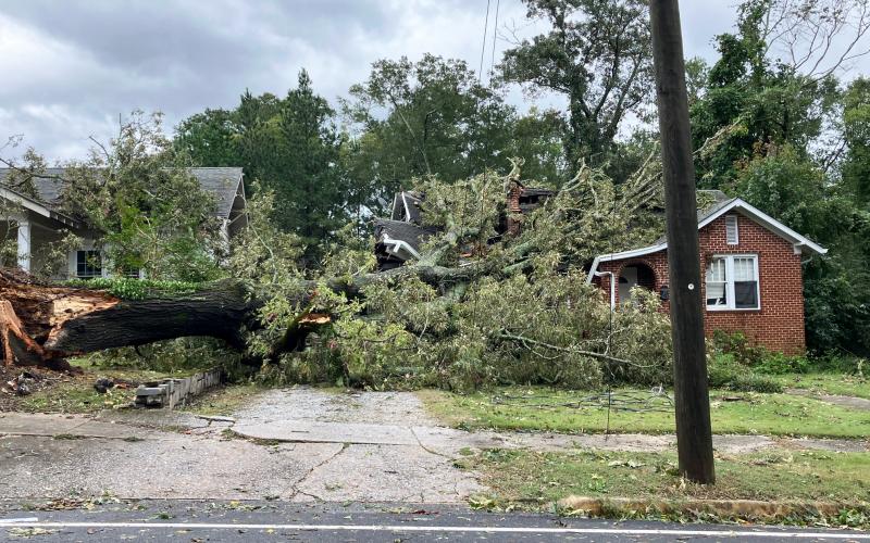 Residents on Forest Avenue are safe after having a huge tree fall onto their house. (Photo by Weeks)