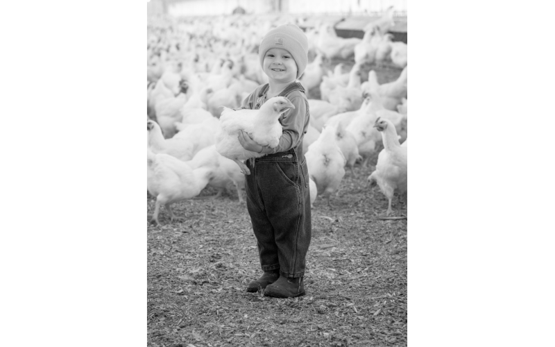 Bodie Williams , age 3, at Lucky Hen Farm. (Photo by Mandy Williams)