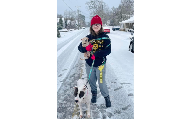 Lily Moon with her pups Lulu and Rocky on South McIntosh Street. (Photo submitted by Alicia Segars Moon)