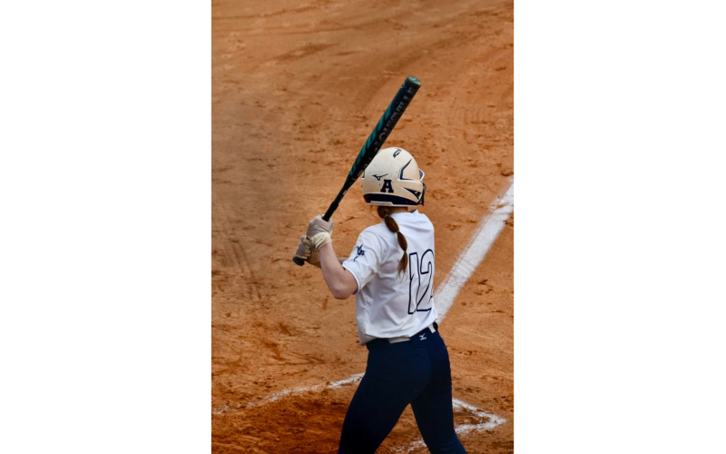 (Photo courtesy of Elbert County True Blue)