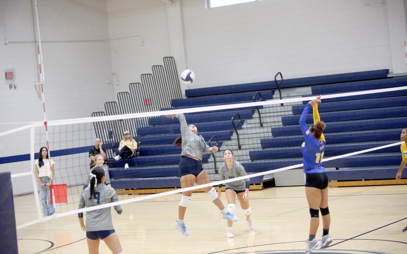 Melanie Badillo (25) hits the ball in Elbert’s region playoff matchup against Washington-Wilkes. (Photo by Bo Underwood)