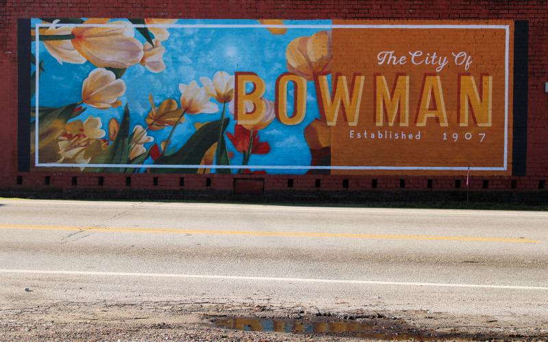 Bowman graphic