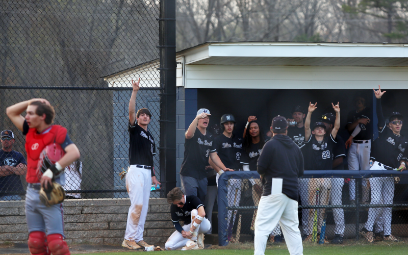 Members of the Elbert County dugout cheer on their teammates. (Photo by Bo Underwood)