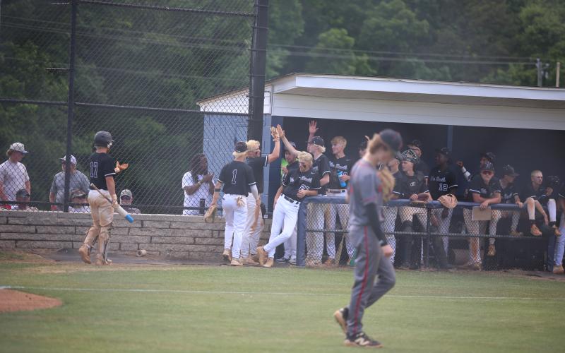 The Elbert County dugout gives out high-fives after a run.  (Photo by Bo Underwood)