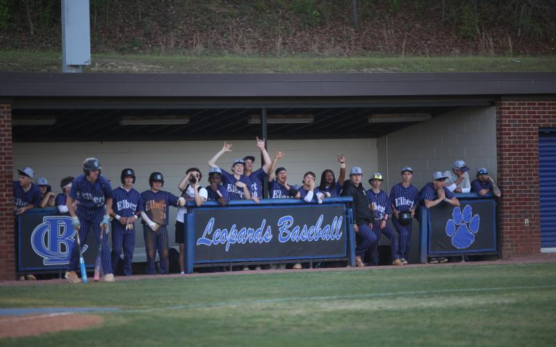 The Elbert County dugout celebrates a hit. (Photo by Bo Underwood)