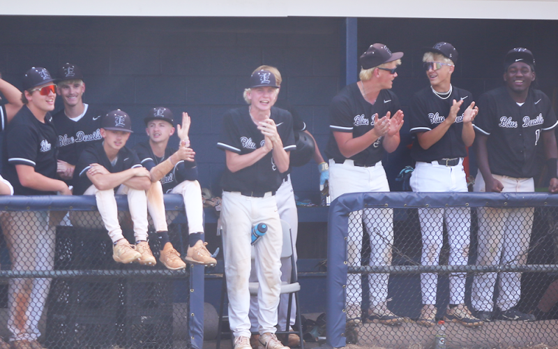 The Elbert County dugout celebrates. (Photo by Bo Underwood)