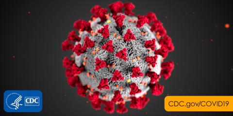 Photo from the CDC 