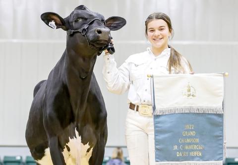 ECCHS freshman Leah Higginbotham, and her dairy heifer, Willow, brought home the county’s first grand championship in the junior commercial dairy show at the 2022 Georgia National Fair. (Photo courtesy of Square One Agri Marketing)