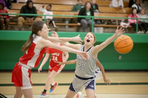 Seventh grade Lady Ram Brylee Dickerson attempts to distract a Stephens County seventh grade Lady Devil during Elbert’s 29-9 smackdown in the first round of the NEGIAA basketball tournament at Franklin County High School Jan. 14. (Photo by Scoggins)