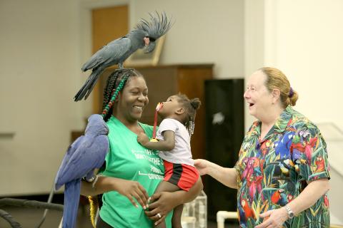 Jalia Thornton stares down an exotic bird from the "Bean and Bird Preforming Parrots" show at the Elbert County Library