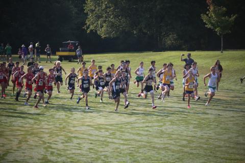 The Elbert County Blue Devil cross country team finished 11th in the Northeast Georgia (NEGA) Cross Country Championships while the Lady Devils finished in 10th place.