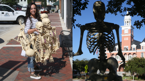 Beebe, left, was seen the last week of September delivering skeletons to Main Street members to decorate and place outside their business throughout the month of October. Along with the smaller skeletons, two large skeletons were placed near the fountain area of the square facing the direction of the flow of traffic for each side. (Left photo by Wells, right photo by Scoggins)
