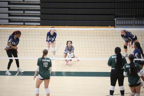 Lindsay Castro makes a leaning bump during Elbert’s match against Walnut Grove Aug. 29. (Photo by Wells)