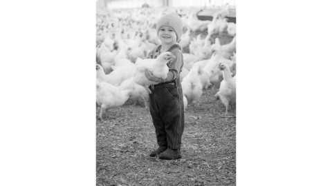 Bodie Williams , age 3, at Lucky Hen Farm. (Photo by Mandy Williams)