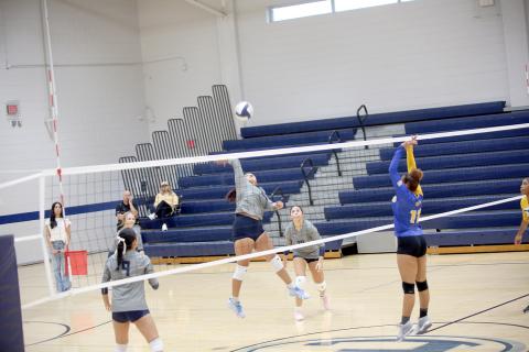 Melanie Badillo (25) hits the ball in Elbert’s region playoff matchup against Washington-Wilkes. (Photo by Bo Underwood)