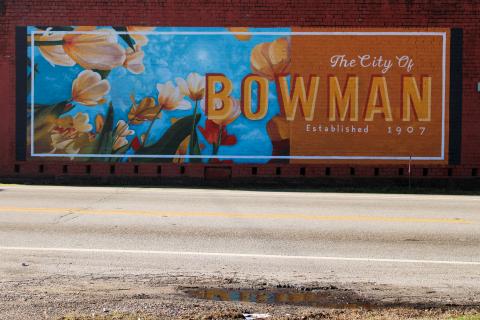 Bowman graphic