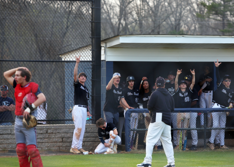 Members of the Elbert County dugout cheer on their teammates. (Photo by Bo Underwood)