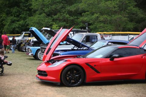 The Bowman Spring Festival and Terry Dalton Memorial Car Show had a wide variety of over 51 cars, jeeps or trucks in attendance April 25. (Photo by Mark Wells)