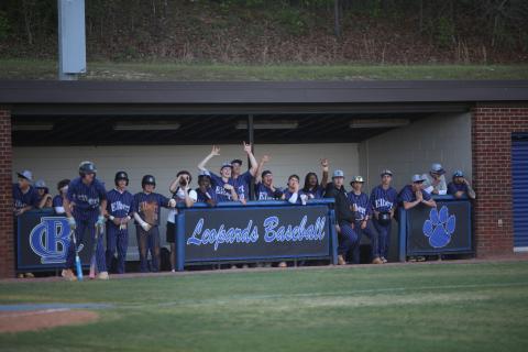 The Elbert County dugout celebrates a hit. (Photo by Bo Underwood)
