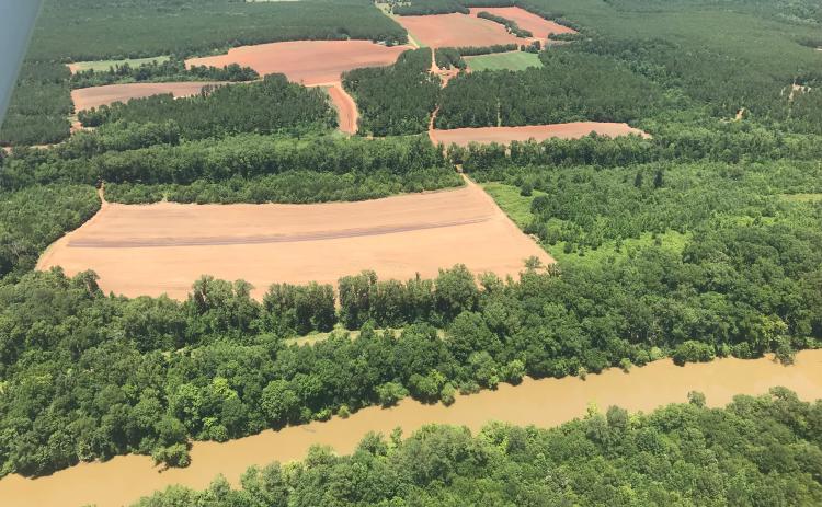 An aerial view of BRVF (Photo by Jones)