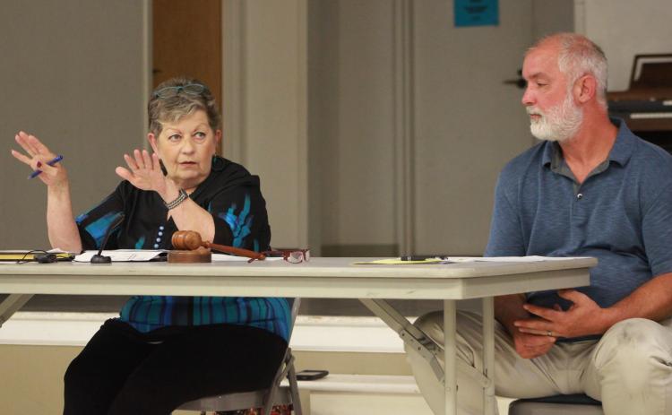 Bowman Mayor Roberta Rice, Council Member Chris Johnson discuss city business in meeting Monday night. (Photo by Scoggins)