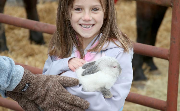 Due to the rainy weather, the Elbert County Chamber of Commerce and Main Street Elberton’s Easter egg hunt, featuring the Easter bunny, was canceled Saturday, April 13. However, another bunny made an appearance during the cold Spring Festival Saturday, April 9. Pictured holding a bunny from Elbert County Farm Bureau during the festival is six-year-old Josie Butler.