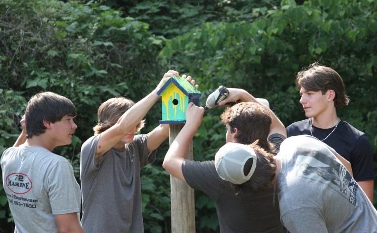 Members of the Key Club at Elbert County Comprehensive High School install birdhouses at Sutton Park Friday, May 20. (Photo by Wells)