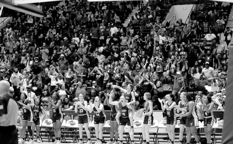 Elbert County Comprehensive High School was named one of the 64 Cooperative Spirit Award winners by the Georgia High School Sports Association and Georgia’s Electric Membership Cooperatives. The award, which was started in 2006, is given to schools based on sportsmanship and spirit displayed by student athletes, school staff, parents and event spectators throughout the year. Out of the schools in Region 8AA, Elbert County was chosen to receive the honor. (File photo by Scoggins)