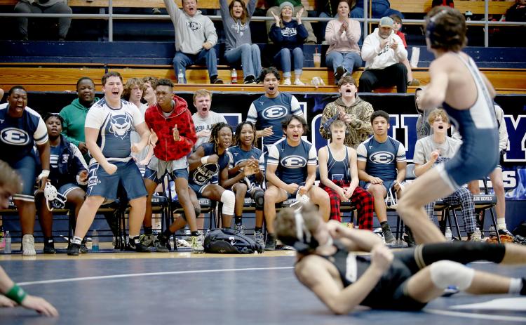 A host of Elbert County Comprehensive Mat Devils react as Carter Fleming wins a match against a Commerce opponent during the 8A Area Duals in the Inferno Jan. 7. The Devils finished third overall in the duals tournament, pitting them against the No. 2 seed, Lamar County, in the first round of the GHSA state playoffs. The first round will take place Jan. 14 at Mount Pisgah Christian School in Johns Creek. (Photo by Scoggins)