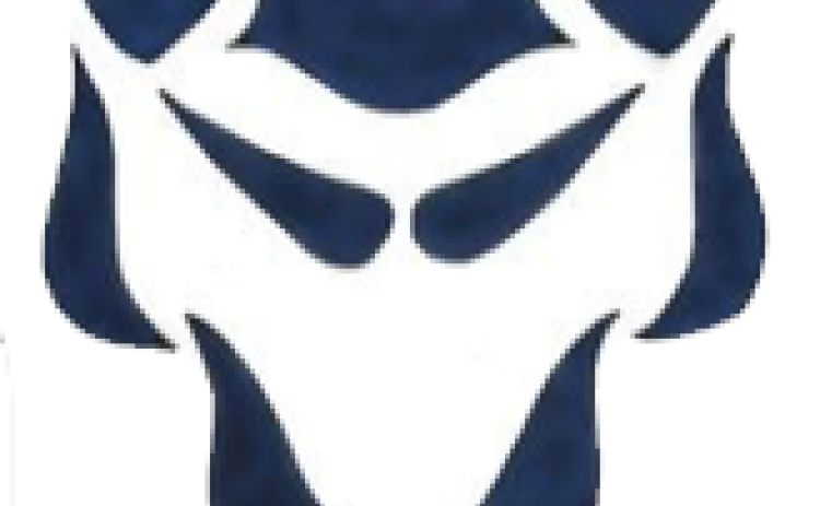 Elbert County Blue Devil