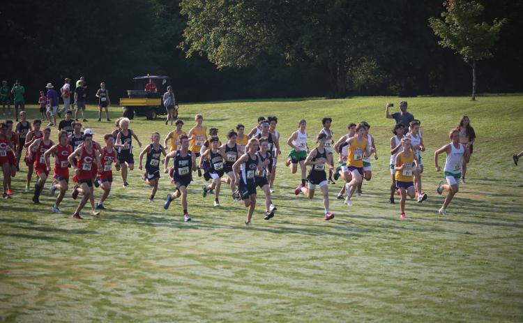 The Elbert County Blue Devil cross country team finished 11th in the Northeast Georgia (NEGA) Cross Country Championships while the Lady Devils finished in 10th place.