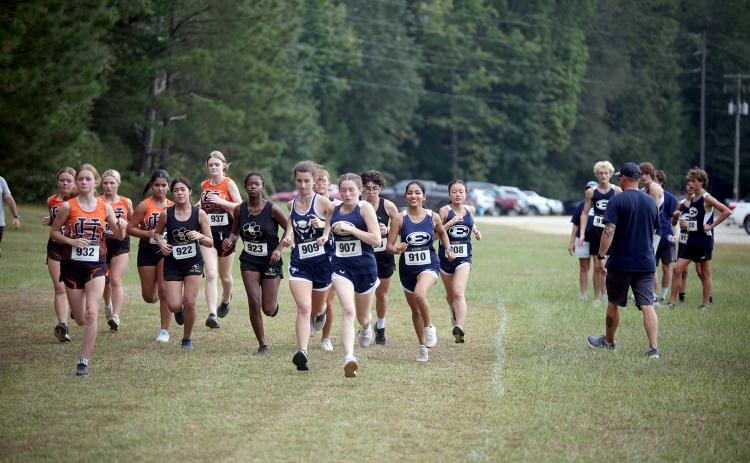The female runners kick off the first-ever Granite City Invitational varsity girls race at Camp Harmony Sept. 24. The Lady Devils finished with a pair of runners on the podium while the Devils finished second overall. (Photo by Wells)