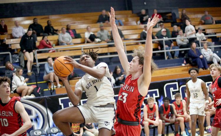 Dealyn Gray drives in from the wing and elevates to put the ball past a Rabun defender. (Photo by Wells)