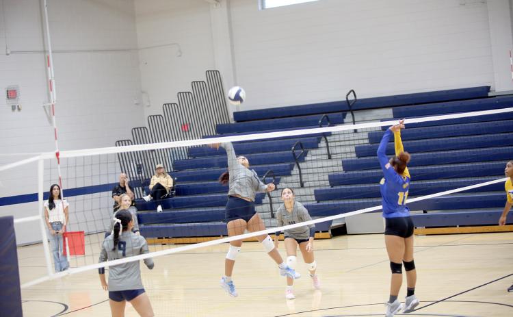 Melanie Badillo (25) hits the ball in Elbert’s region playoff matchup against Washington-Wilkes. (Photo by Bo Underwood)