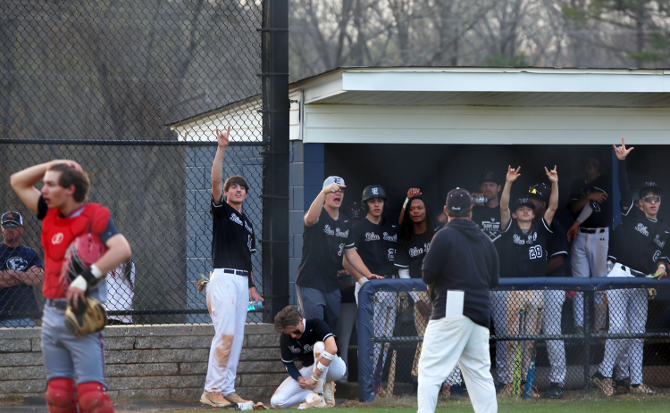 Members of the Elbert County dugout cheer on their teammates. (Photo by Bo Underwood)