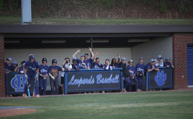 The Elbert County dugout celebrates a hit. (Photo by Bo Underwood)