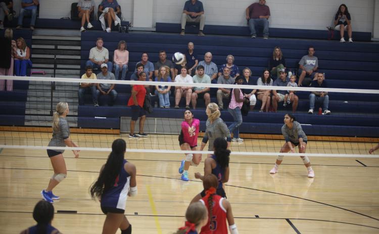 Sophia Vargas bumps the ball. (Photo by Bo Underwood)