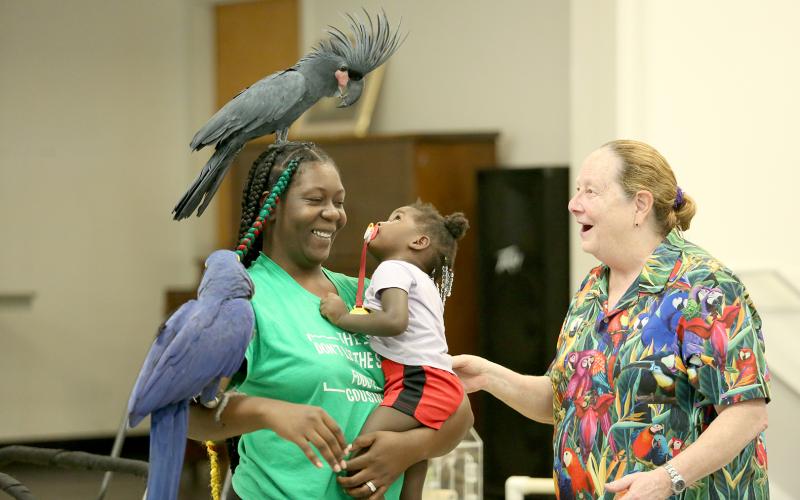 Jalia Thornton stares down an exotic bird from the "Bean and Bird Preforming Parrots" show at the Elbert County Library