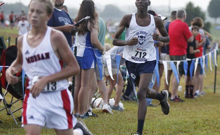 Elbert County junior Adrian Perrin completed the blistering fast North Georgia Championships at Lamar Murphy Park in Jefferson Aug. 24 in 22:02. (Photo by Cary Best) 