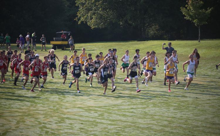 The Elbert County Blue Devil cross country team finished 11th in the Northeast Georgia (NEGA) Cross Country Championships while the Lady Devils finished in 10th place.