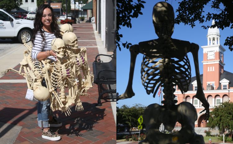 Beebe, left, was seen the last week of September delivering skeletons to Main Street members to decorate and place outside their business throughout the month of October. Along with the smaller skeletons, two large skeletons were placed near the fountain area of the square facing the direction of the flow of traffic for each side. (Left photo by Wells, right photo by Scoggins)